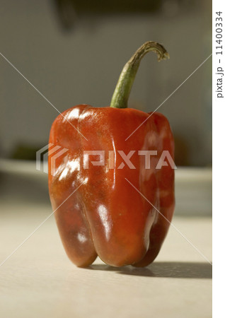 Red Bell Pepper 11400334