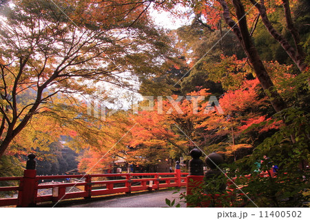 神護寺（京都　高雄山）参道　高雄橋周辺の紅葉 11400502