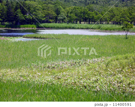 知床一湖 11400591