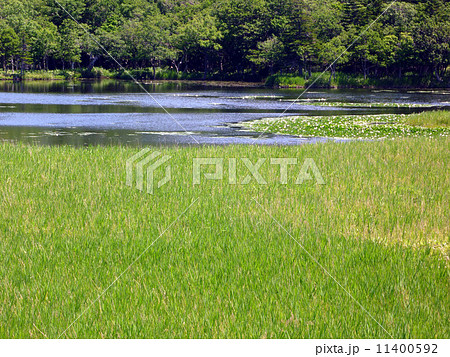 知床一湖 11400592