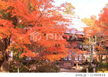 西明寺(京都 槇尾山) 本殿前の紅葉 西明寺(京都 槇尾山) 本殿前の紅葉 11400818