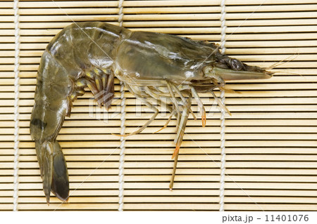 Fresh Shrimp Fresh Shrimp 11401076