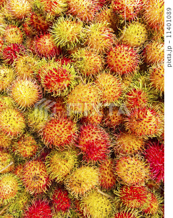 Rambutan Rambutan 11401089