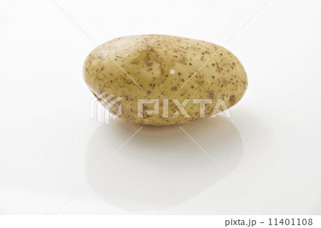 Potato Potato 11401108