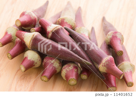 赤オクラ 赤オクラ 11401652