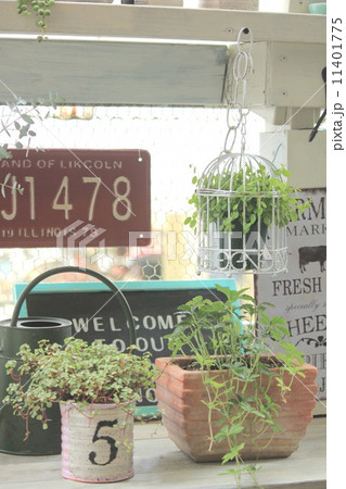 ガーデニング 11401775