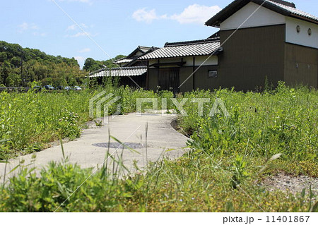 いなかみち 11401867