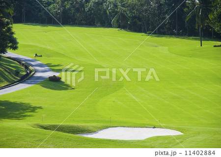 Golf Greens 11402884
