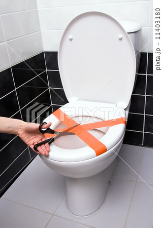Toilet problem 11403180