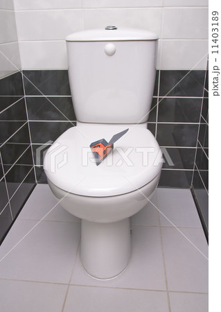 Plane in the toilet 11403189