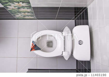 Toilet bowl directly above Toilet bowl directly above 11403190