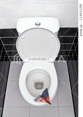 Hygiene plane 11403199