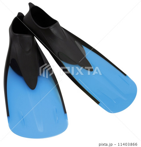 Flippers 11403866