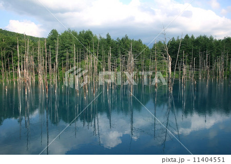 青い湖　IMG_7710 2 11404551