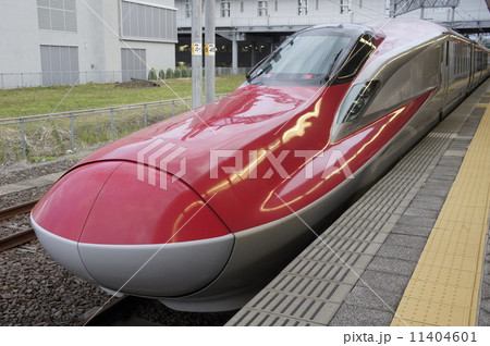 こまち号 こまち号 11404601