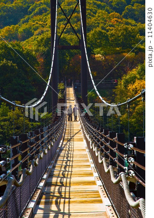 吊り橋「星のブランコ」 11404630