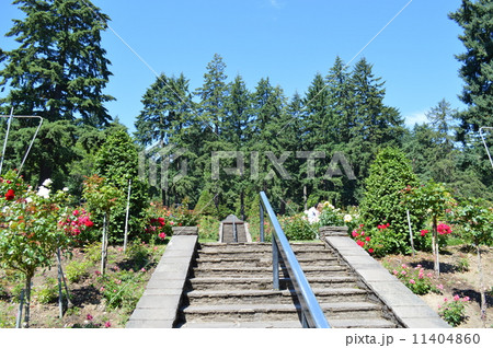 ポートランドの夏 ポートランドの夏 11404860