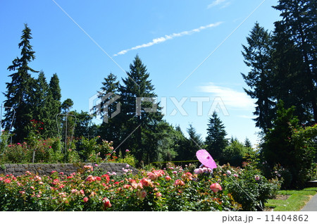 ポートランドの夏 ポートランドの夏 11404862