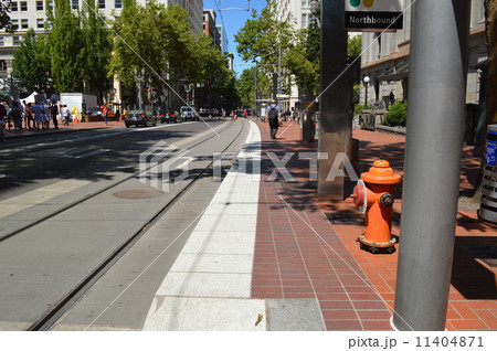 ポートランドの夏 11404871