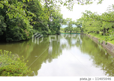 鶴岡公園 鶴岡公園 11405046