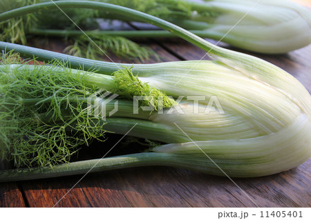 Fresh organic fennel  11405401