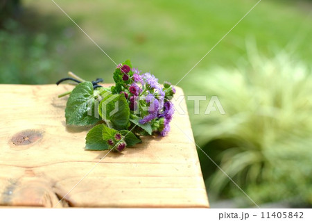 アゲラタムの小さなブーケ アゲラタムの小さなブーケ 11405842