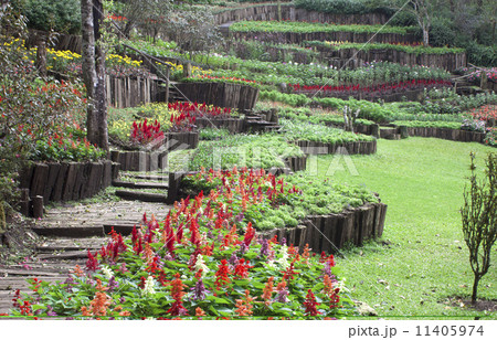 Public Gardens and Bushes greenery and flowers. 11405974
