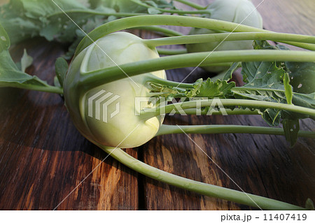 Fresh, organic kohlrabi (brassica oleracea) 11407419