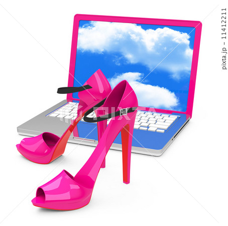 the high heels 11412211