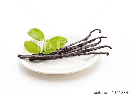 バニラビーンズ バニラビーンズ 11412346