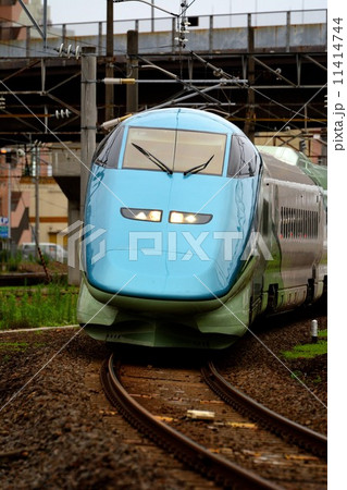 とれいゆ　つばさ 11414744