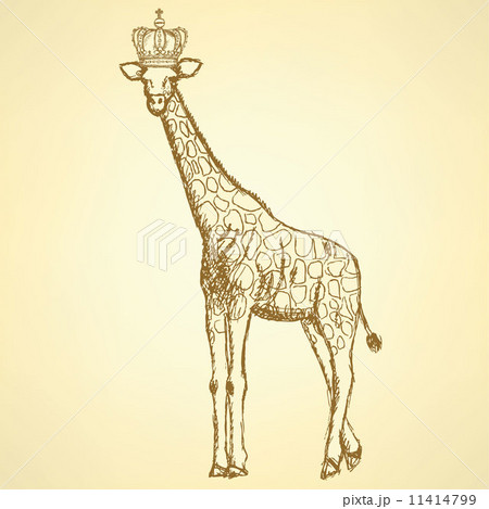 Sketch giraffe in crown, background Sketch giraffe in crown, background 11414799