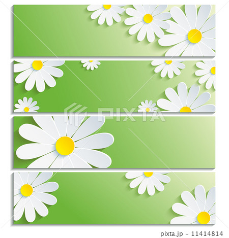 Set of banners with 3d flower white chamomile 11414814