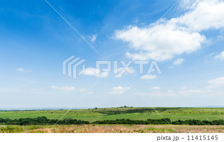 Field landscape 11415145