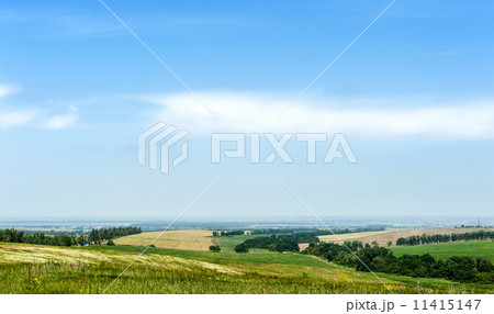 Rural landscape 11415147