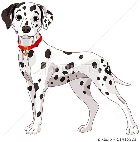 Cute Dalmatian Dogのイラスト素材
