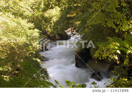 湯瀬渓谷 横 湯瀬渓谷 横 11415896