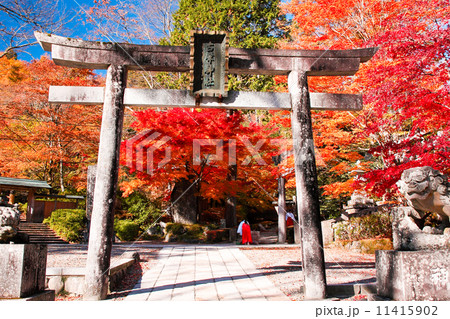 古峰神社 11415902