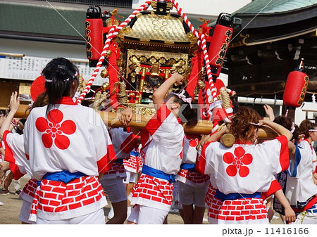 ギャルみこし ギャルみこし 11416166