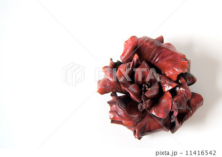 ハンドメイドの革製バラのコサージュ エンジ の写真素材