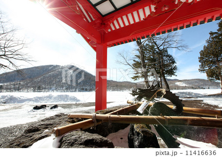 冬の赤城神社 11416636