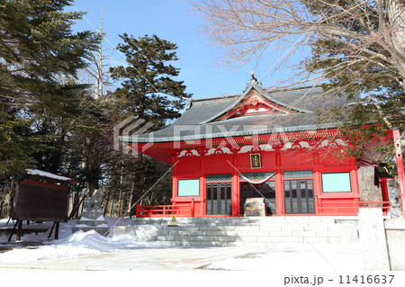 冬の赤城神社 11416637