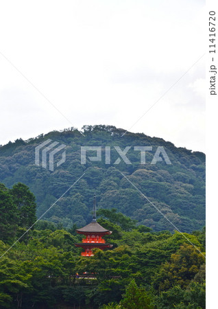 清水寺の「子安塔」（京都市東山区清水） 11416720