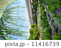 堀切菖蒲園 11416739