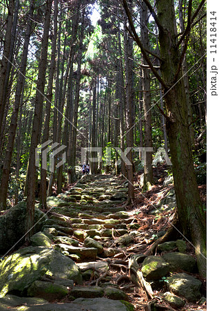 熊野古道 11418414