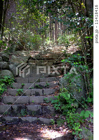 熊野古道 11418416