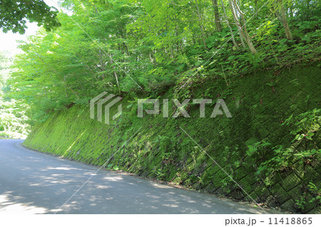 山道 山道 11418865