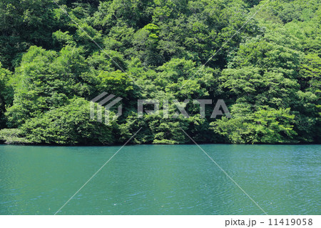 落口の池 落口の池 11419058