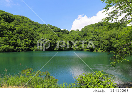 落口の池 11419063