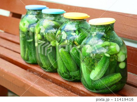 Homemade cucumbers in the garden Homemade cucumbers in the garden 11419416